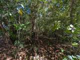  191ST Avenue - Photo 3