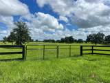 TBD 464B Highway - Photo 1