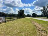 TBD 464B Highway - Photo 10