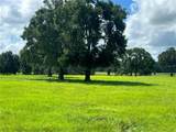 TBD 464B Highway - Photo 2