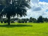 TBD 464B Highway - Photo 3