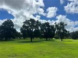 TBD 464B Highway - Photo 4