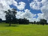 TBD 464B Highway - Photo 5