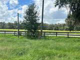 TBD 464B Highway - Photo 6