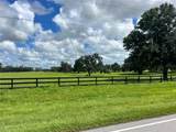 TBD 464B Highway - Photo 7