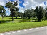TBD 464B Highway - Photo 8