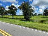 TBD 464B Highway - Photo 9