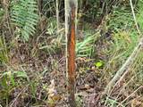  Off Ne 212Th St. - Photo 14