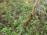  Off Ne 212Th St. - Photo 15