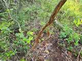  Off Ne 212Th St. - Photo 16
