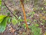  Off Ne 212Th St. - Photo 17