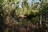  Off Ne 212Th St. - Photo 32