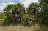 2122 Rickover Street - Photo 1