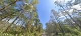 217 Dogwood Avenue - Photo 4