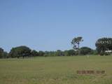  Belmonte Drive - Photo 5
