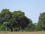 Belmonte Drive - Photo 6