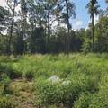  Pollard Road - Photo 17