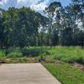  Pollard Road - Photo 6