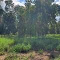 Pollard Road - Photo 9