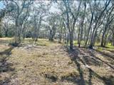  Deer Road - Photo 5