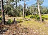  Deer Road - Photo 6