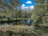 104 Ballard Road - Photo 89