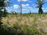 Hwy 40 - Photo 6