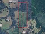 680 Shaw Road - Photo 1