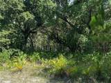 0 Oleander Drive - Photo 2