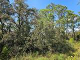 7105 Orchid Place - Photo 1