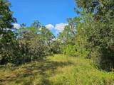 7105 Orchid Place - Photo 3