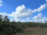  Orlando Drive - Photo 2