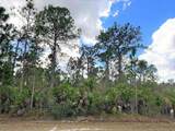 Orlando Drive - Photo 3