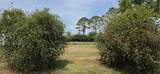 3364 Marina Parkway - Photo 48