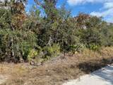 551 Turkey Oak Trail - Photo 1