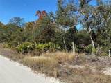 579 Turkey Oak Trail - Photo 2