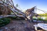6626 1ST Street - Photo 68