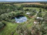 3788 Armadillo Trail - Photo 3