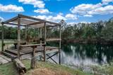 3788 Armadillo Trail - Photo 37