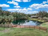 3788 Armadillo Trail - Photo 4