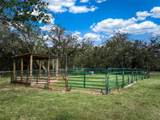3788 Armadillo Trail - Photo 42