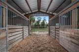 3788 Armadillo Trail - Photo 44