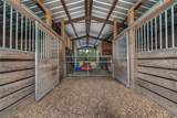 3788 Armadillo Trail - Photo 45