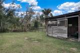 3788 Armadillo Trail - Photo 49