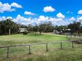 3788 Armadillo Trail - Photo 5
