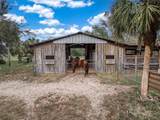 3788 Armadillo Trail - Photo 52
