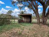 3788 Armadillo Trail - Photo 53