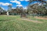 3788 Armadillo Trail - Photo 54