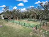 3788 Armadillo Trail - Photo 55