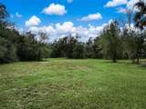 3788 Armadillo Trail - Photo 56
